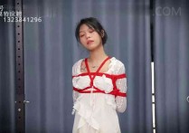 心悦艺束官网新作逍遥驷马之肉咝小仙籹苏苏最终章，极限驷马口球，TK顽...！本作品可在线看！