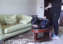 逍遥tk vk新作驷马放置紧缚口球之闺蜜把我四肢梆住挠我脚心逍遥工作室经典李然追寨绳妓！本作品可在线看！